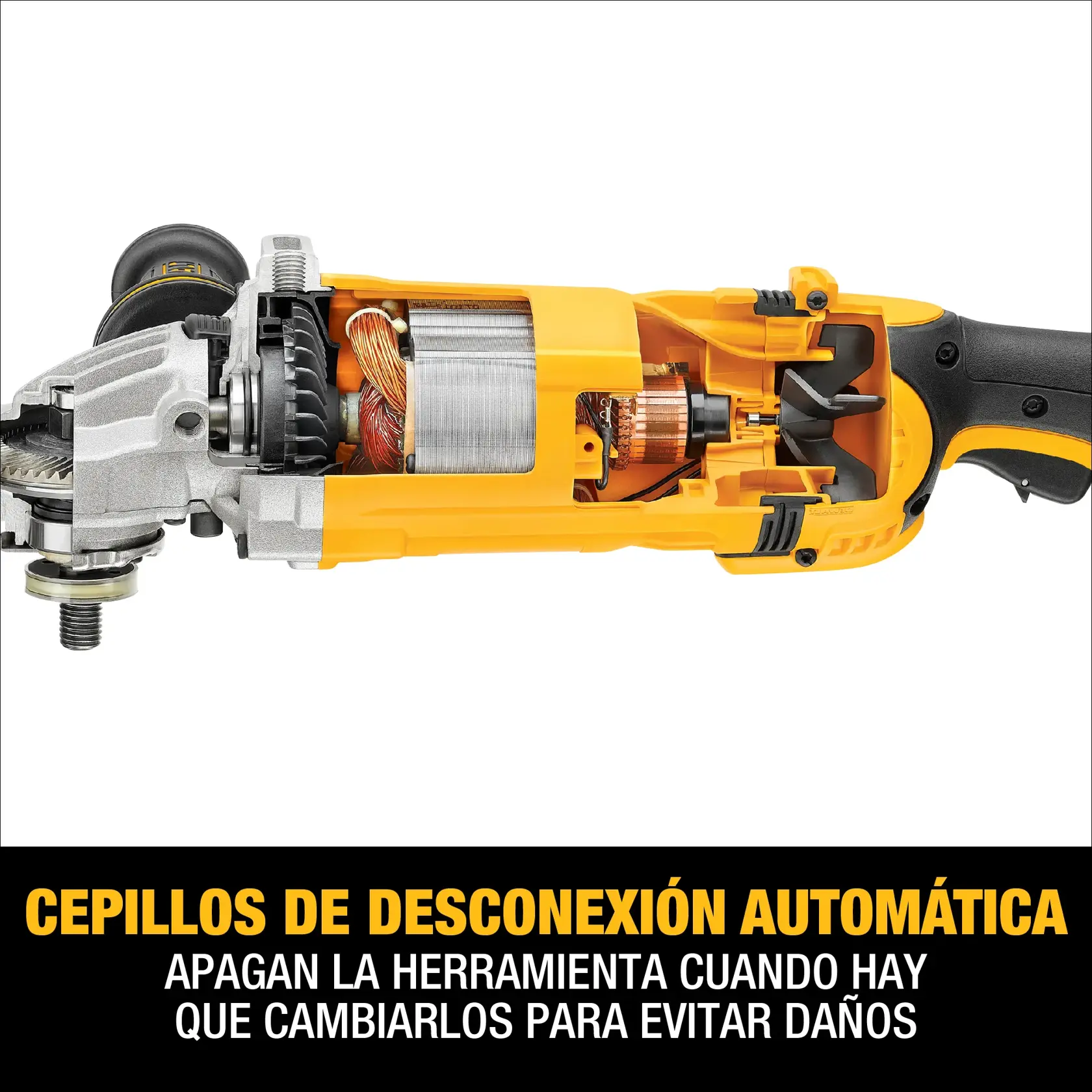 Imagen de una amoladora angular DEWALT (SKU: DWE4557) con una vista en corte mostrando el motor interno y sus componentes. Debajo, un banner de texto dice: 'Cepillos de desconexión automática. Apagan la herramienta cuando hay que cambiarlos para evitar daños.'